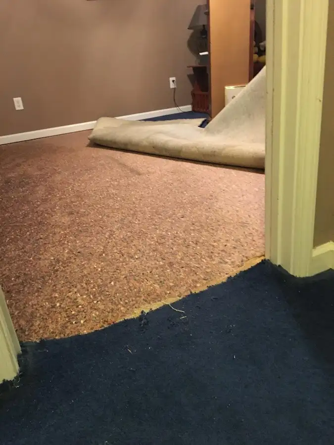 Carpet pad removal revealing water damage during Water Mitigation Services in Oneida